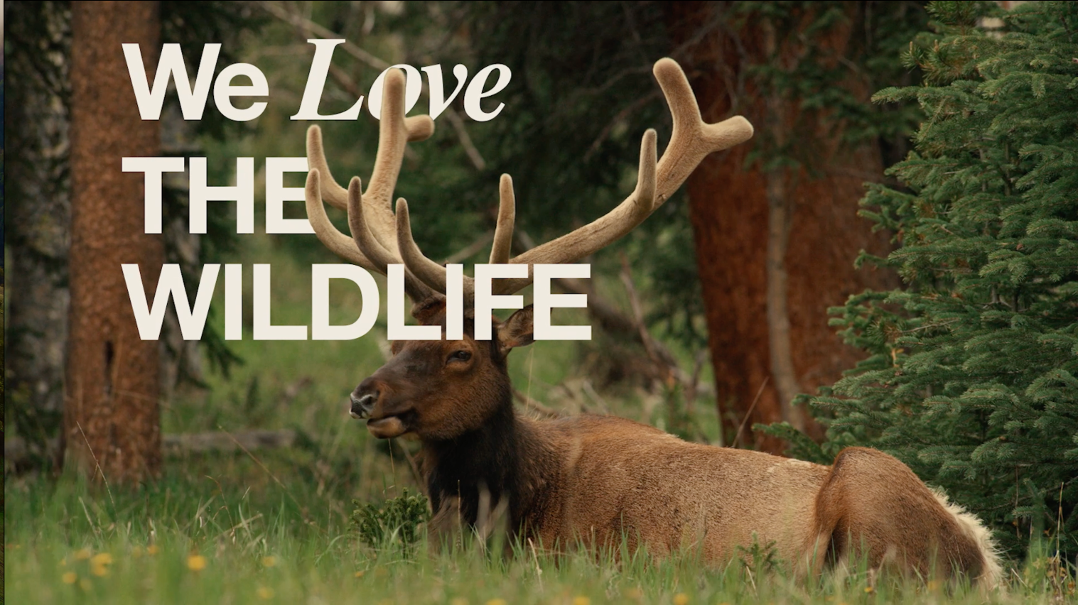 Love Colorado Campaign Social Media Asset