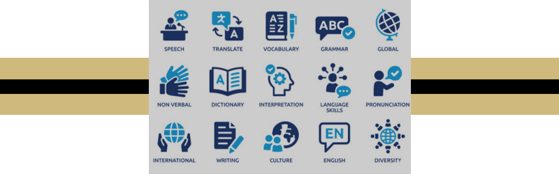 Picture or Icon Cards