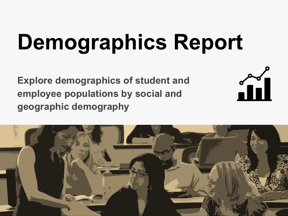 Demographics Report